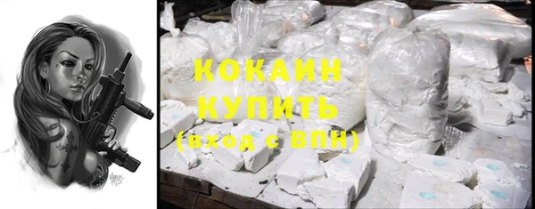 дмт Ладушкин