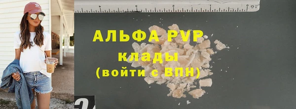 дмт Ладушкин