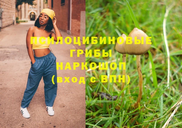 трава Кулебаки