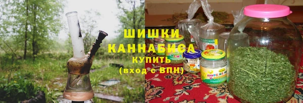 дмт Ладушкин
